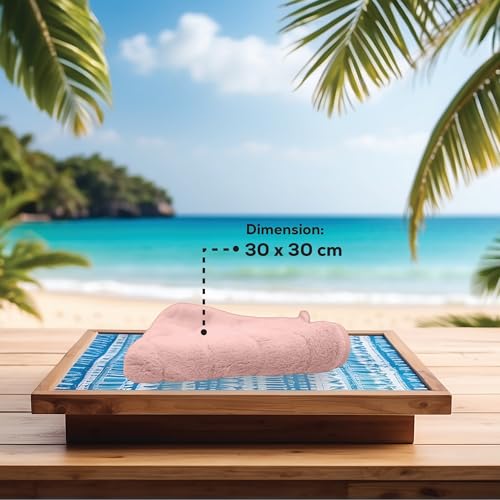 HOUSSE Microfiber Face Towel – Super Soft & Quick-Drying Coral Fleece, 30 x 30 cm (Grey)